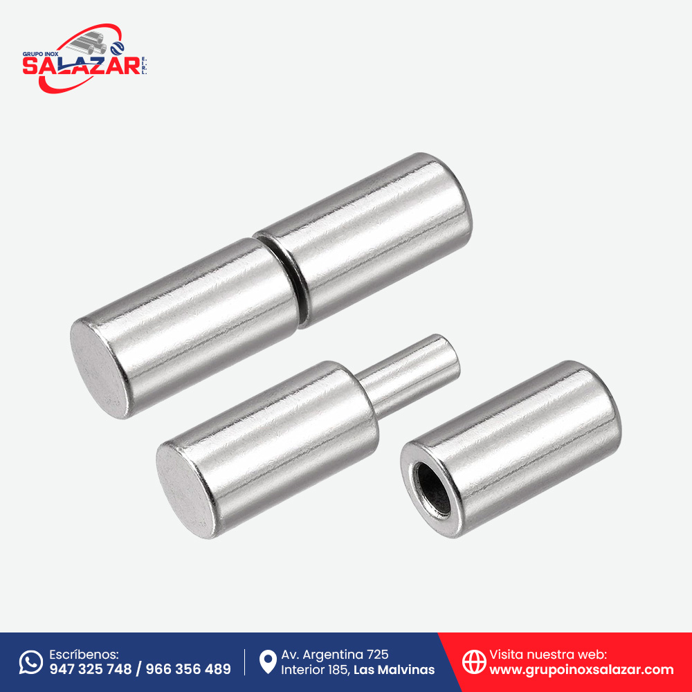 bisagra tipo capsulas C-304